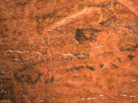 Painting. Detail view shows traces of a black line under a reddish-coloured painted surface.