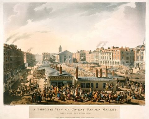 Illustration. A market stretches between long rows of buildings nearly as far as the eye can see. People and horses and carriages teem within a U-shape of buildings and stalls.