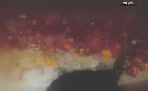 Microscopic cross section of paint. A layer of bright white and then ivory is topped with a purplish-garnet colour, all flecked with orange. Text in the upper right reads, “20 µm”.